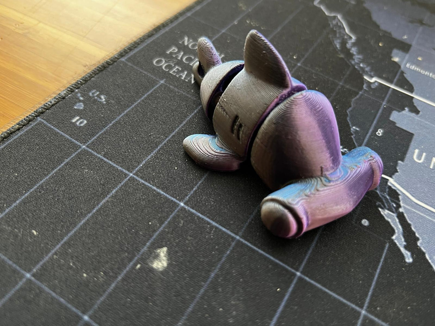 Mini Hammerhead Shark (youtube famous!)